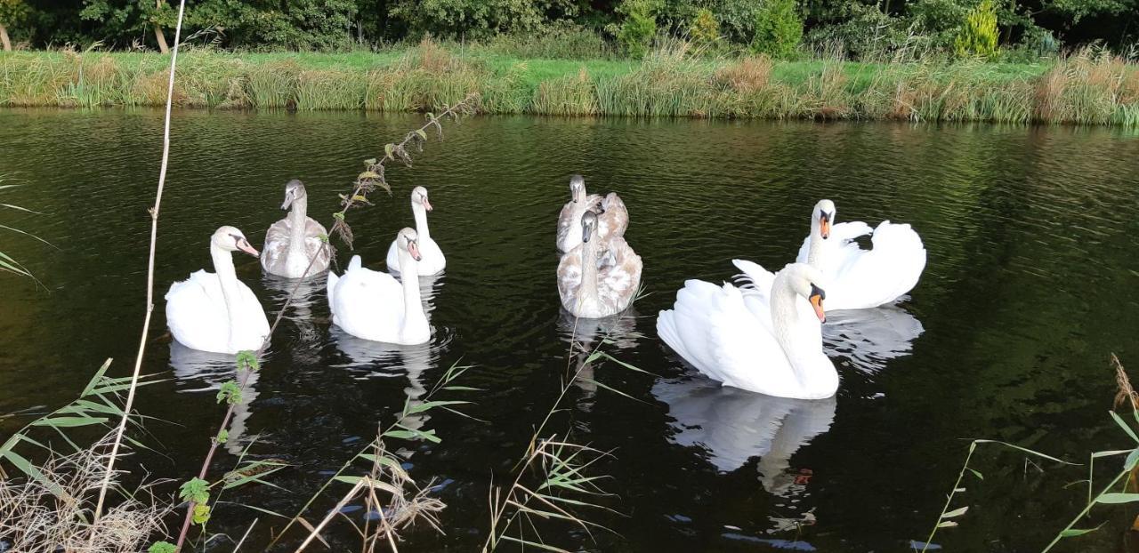 Marka Pokoje Goscinne Großmöllen Exterior foto